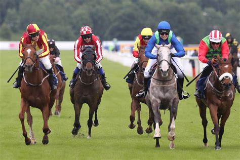 attheraces fast results today|Horse Racing Results .